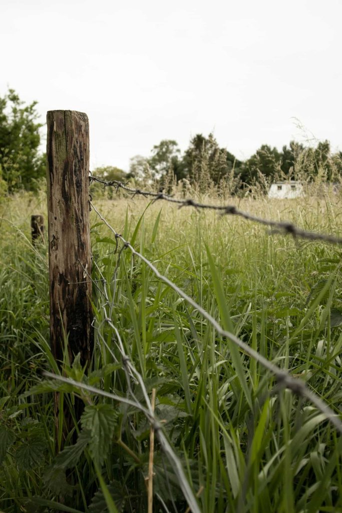 Close-up of a barbed wire fence post in a grassy field, representing land boundaries and rural property.